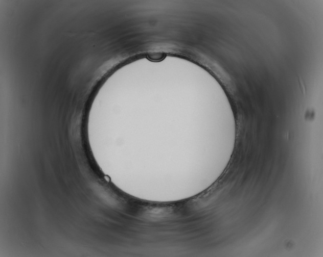 X0000101670155200808071053