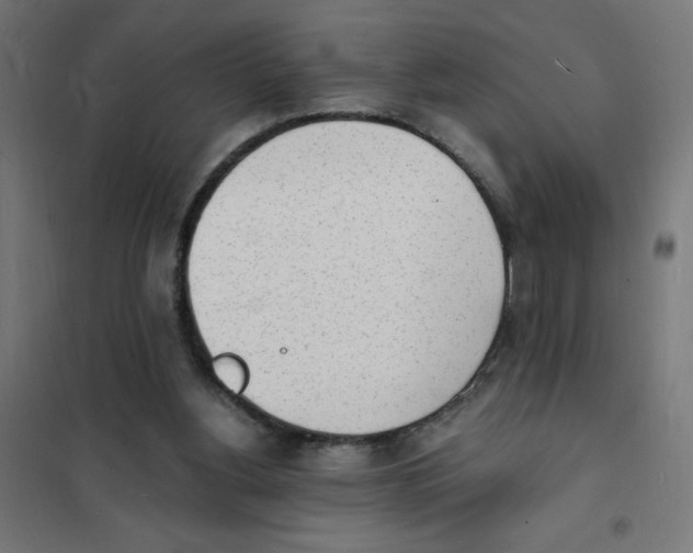 X0000101670156200808071053