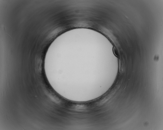 X0000101670157200808071053