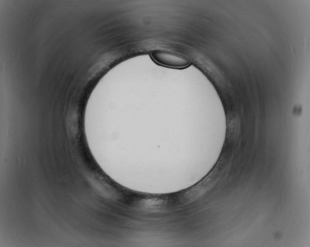 X0000101670158200808071053