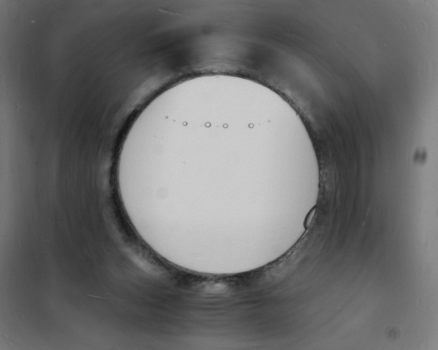 X0000101670159200808071053