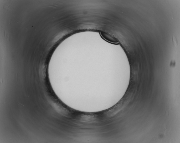 X0000101670160200808071053