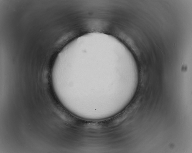 X0000101670161200808071053