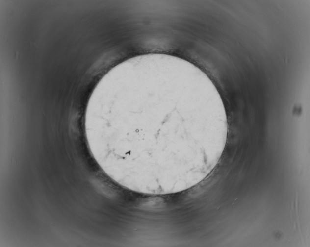 X0000101670162200808071053