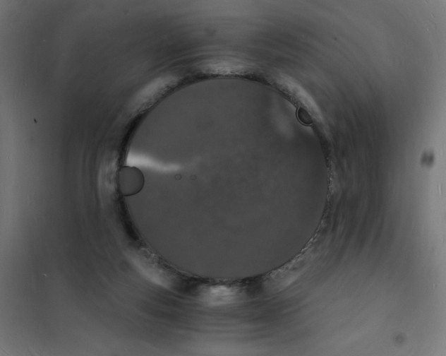 X0000101670163200808071053