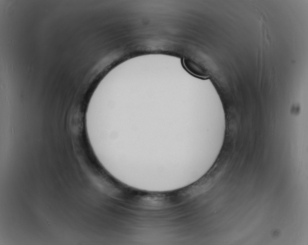 X0000101670164200808071053