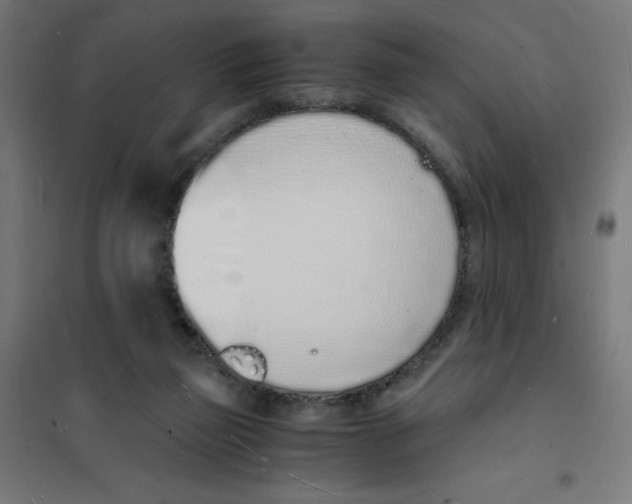 X0000101670165200808071053