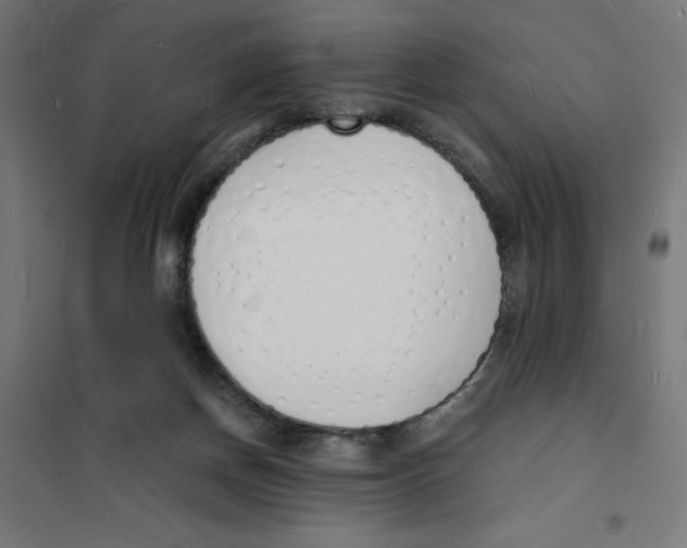 X0000101670166200808071053