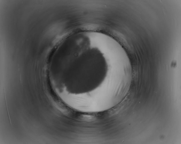 X0000101670167200808071053