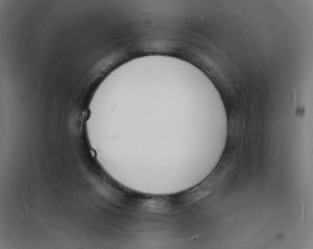X0000101670168200808071053