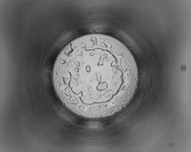 X0000101670169200808071053