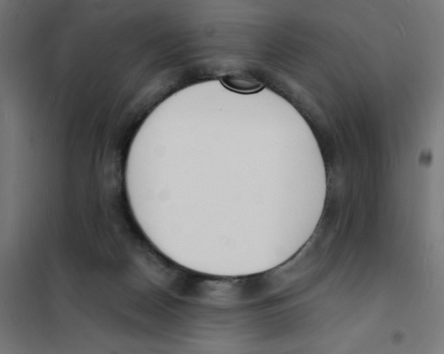 X0000101670170200808071053