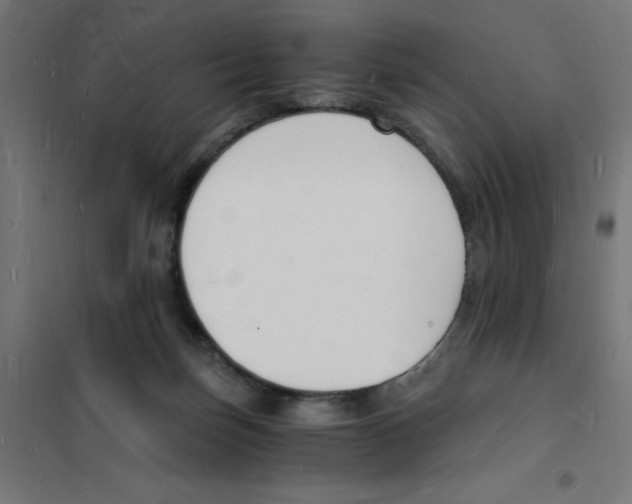 X0000101670171200808071053