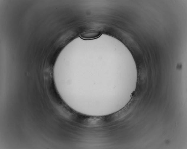 X0000101670172200808071053