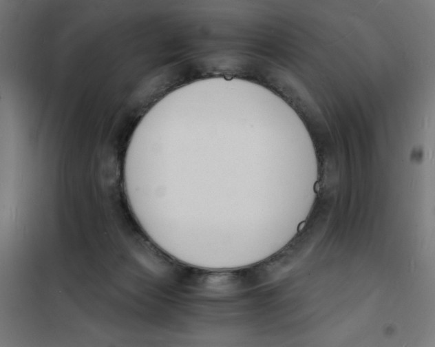X0000101670173200808071053