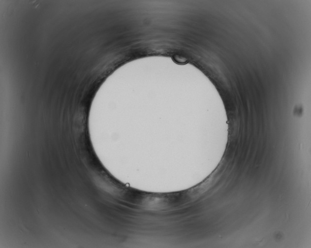 X0000101670174200808071053