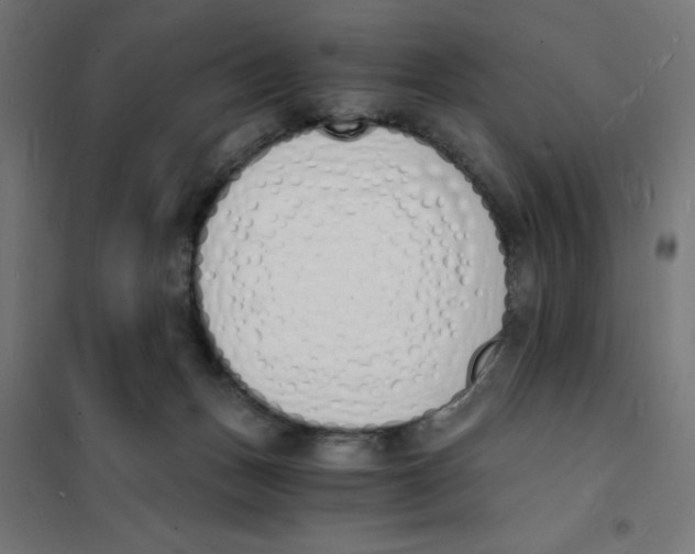 X0000101670175200808071053