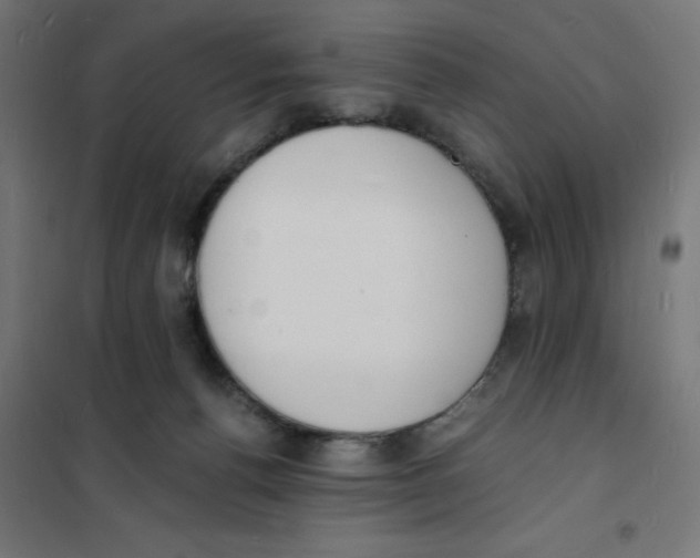 X0000101670176200808071053