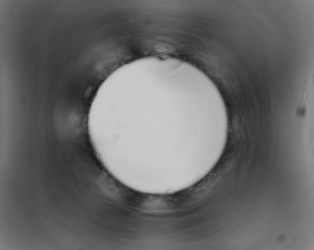 X0000101670177200808071053