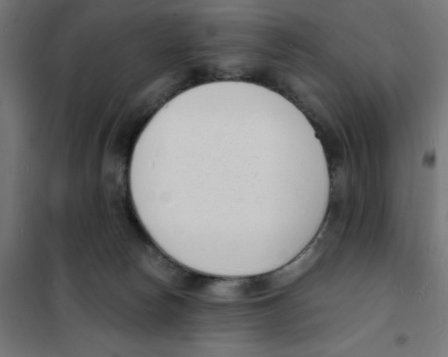 X0000101670178200808071053