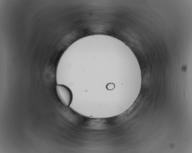 X0000101670179200808071053