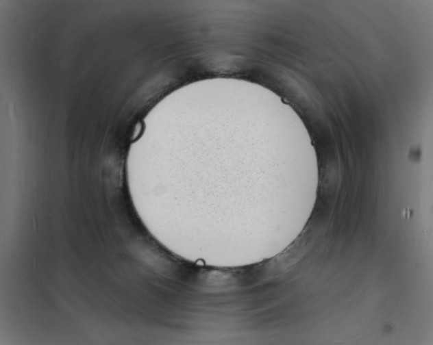 X0000101670180200808071053