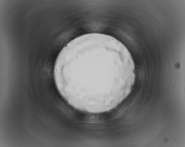 X0000101670181200808071053