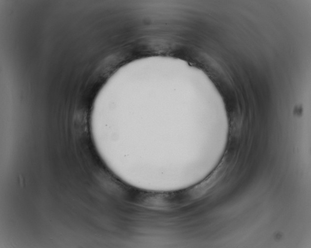 X0000101670182200808071053
