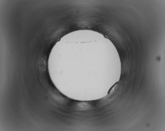 X0000101670183200808071053