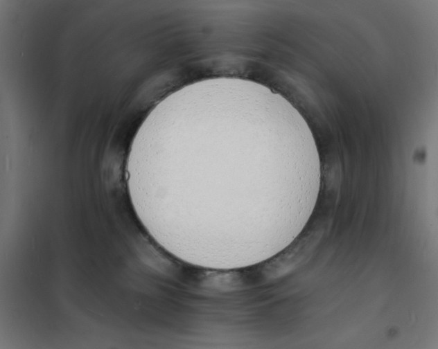 X0000101670185200808071053