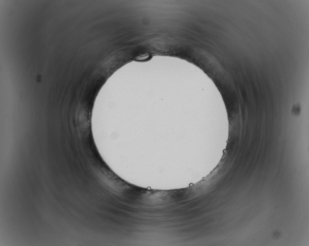 X0000101670186200808071053