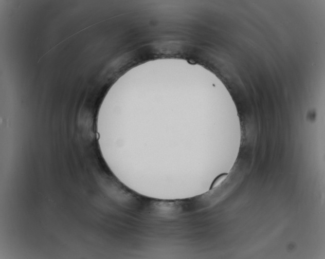 X0000101670187200808071053