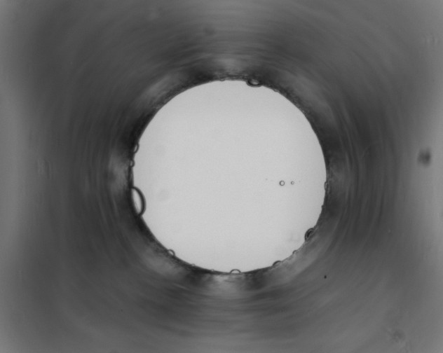 X0000101670188200808071053