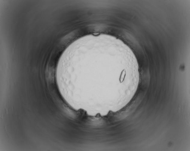 X0000101670189200808071053