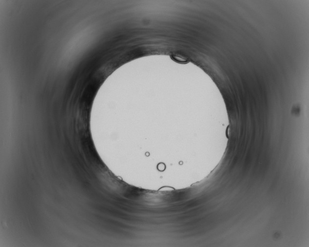 X0000101670190200808071053
