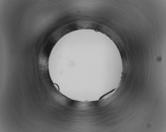 X0000101670191200808071053