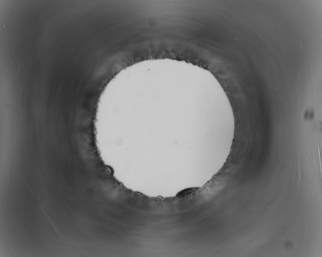 X0000101670192200808071054