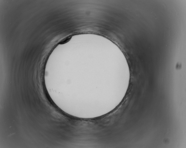 X0000101670193200808071053