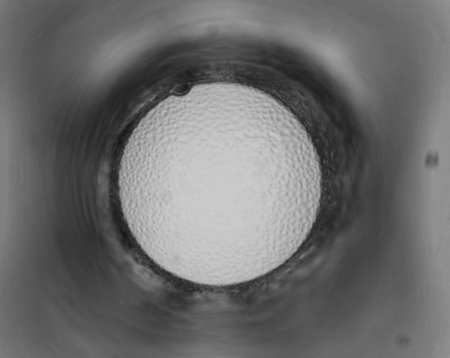 X0000101670194200808071053