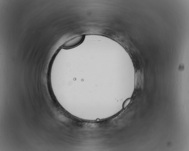 X0000101670195200808071053