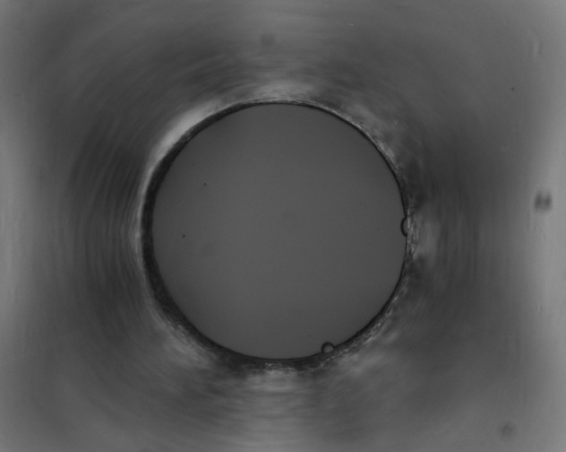 X0000101670196200808071053