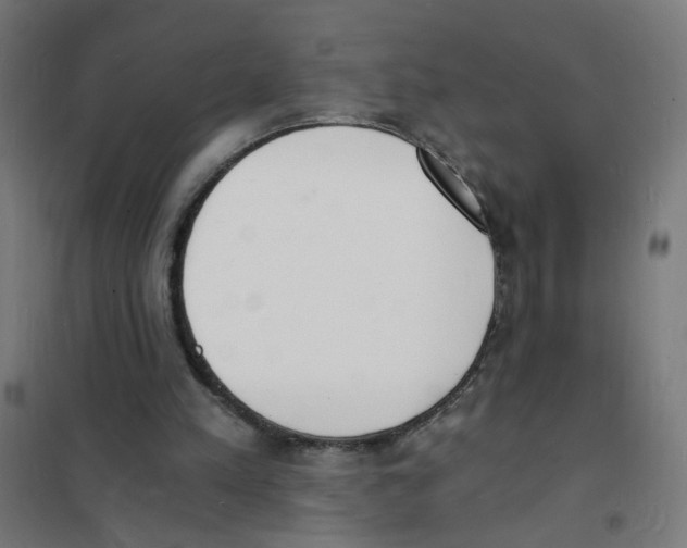 X0000101670197200808071053