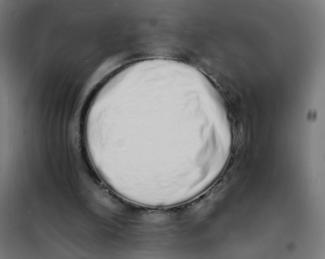 X0000101670198200808071053