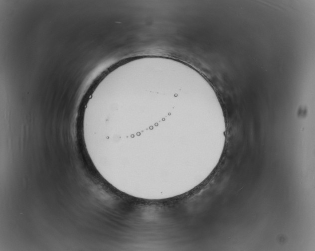 X0000101670200200808071053