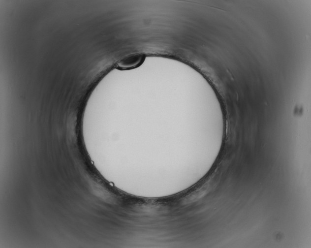 X0000101670201200808071053