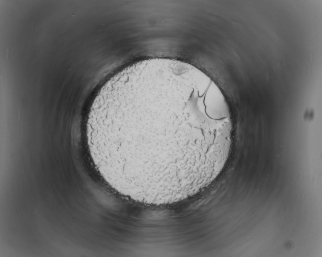 X0000101670202200808071053