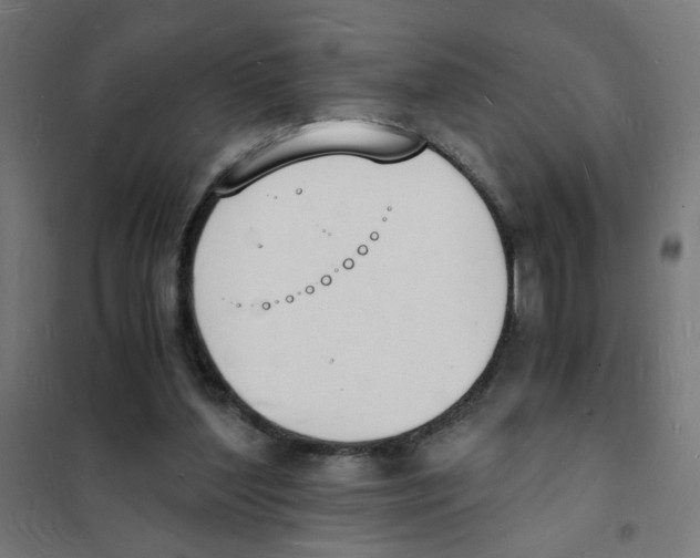 X0000101670204200808071053