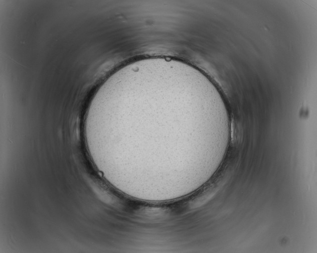 X0000101670205200808071052
