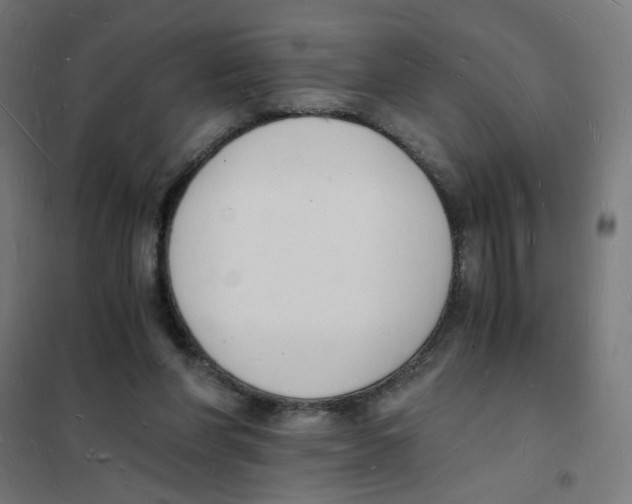 X0000101670206200808071052