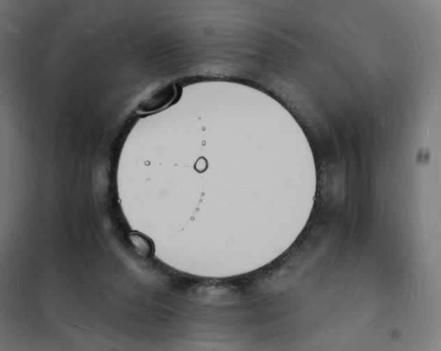 X0000101670208200808071052